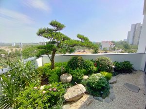 Thiết kế không gian xanh cho nhà phố