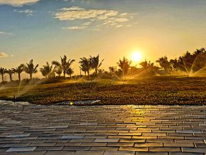 Dịch vụ thi công lắp đặt hệ thống tưới tự động sân vườn