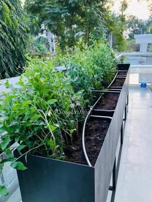 Dịch vụ thi công lắp đặt hệ thống tưới tự động sân vườn