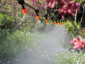Dịch vụ thi công lắp đặt hệ thống tưới tự động sân vườn