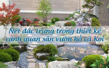 Thiết kế cảnh quan sân vườn hồ cá Koi