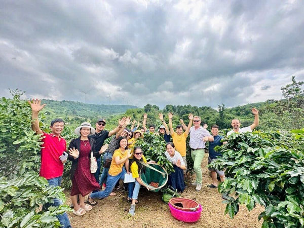 Thiết kế farmstay