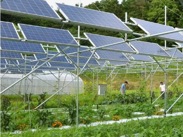 Thiết kế farmstay