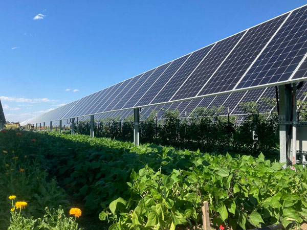 Thiết kế Farmstay