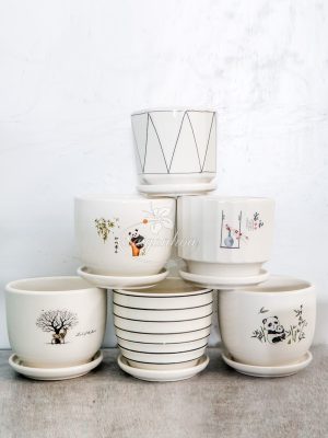 Chậu Đĩa Lót Mini 12