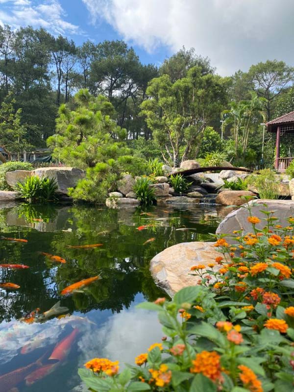 Xu Hướng Chuyển Đổi Cảnh Quan Theo Mùa