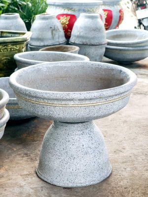 Chậu Ly Bạc