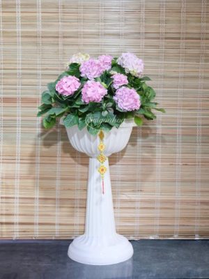 Chậu Ly Cẩm Tú Cầu