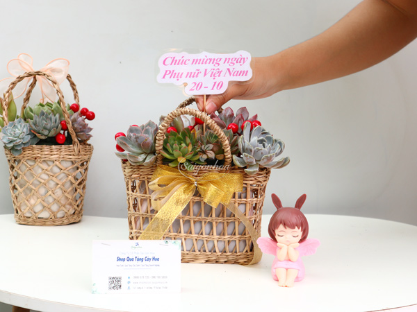 cong-dung-gio-sen-da-qua-tang-20-10