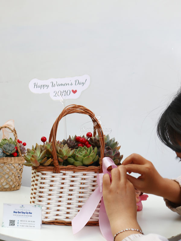 cong-dung-gio-sen-da-qua-tang-y-nghia-1