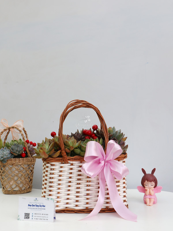 gio-sen-da-qua-tang-y-nghia