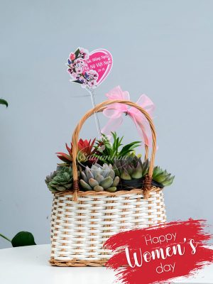 Giỏ Sen Đá Quà Tặng