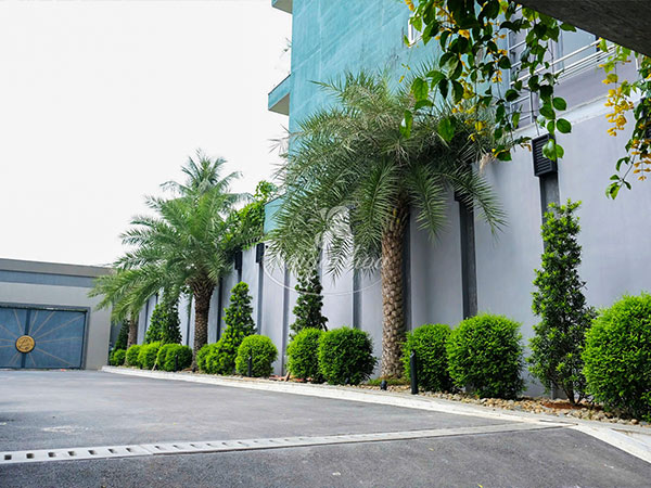 Sân vườn villa khách VIP