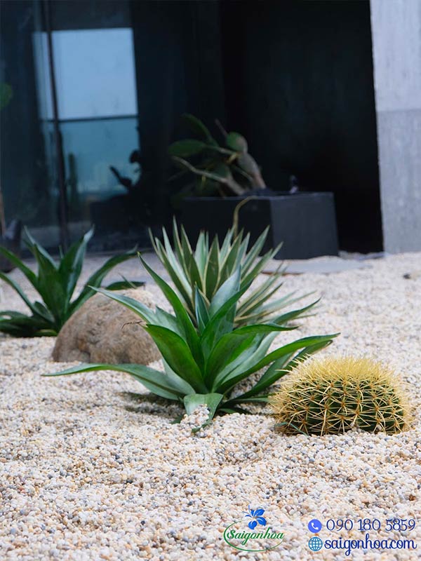 Sân vườn villa khách VIP