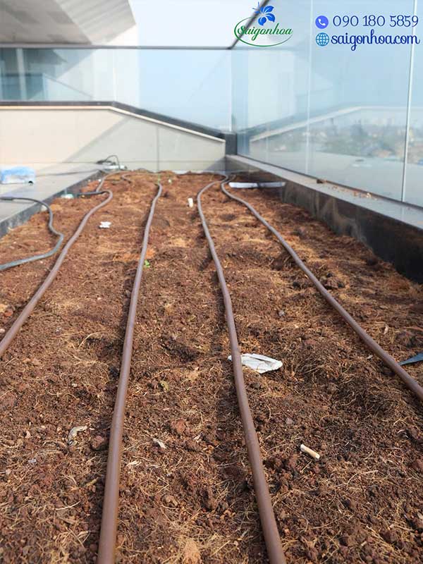 Sân vườn villa khách VIP