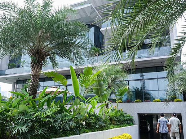 Sân vườn villa khách VIP