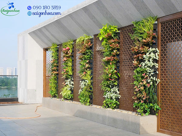 Sân vườn villa khách VIP