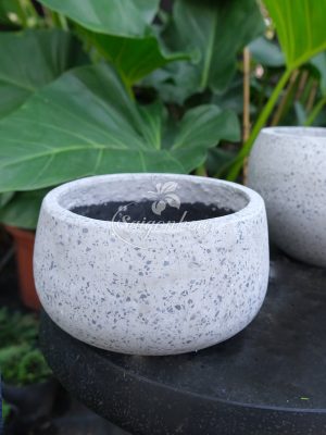 Chậu Remy Lùn Xám