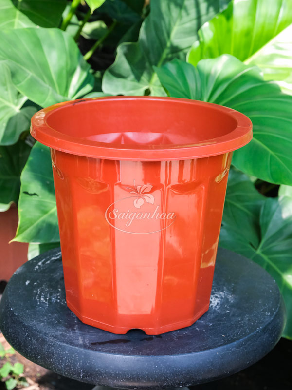 Chậu Nhựa Đỏ Cứng