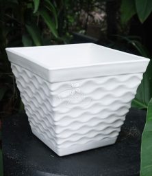 chau nhua may de ban 3