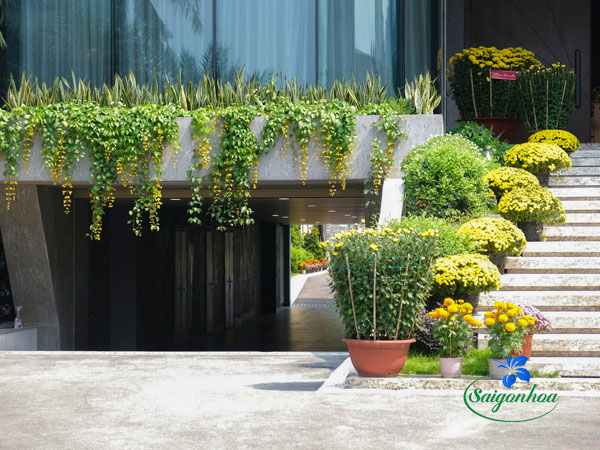 Xu Hướng Chuyển Đổi Cảnh Quan Theo Mùa – Giải Pháp Thiết Kế Sân Vườn Hiện Đại Luôn Mới Mẻ