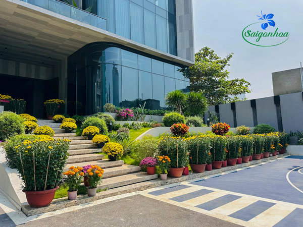 Xu Hướng Chuyển Đổi Cảnh Quan Theo Mùa – Giải Pháp Thiết Kế Sân Vườn Hiện Đại Luôn Mới Mẻ