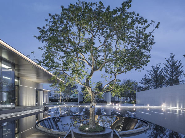 Sự giao thoa giữa kiến trúc- cảnh quan- nghệ thuật