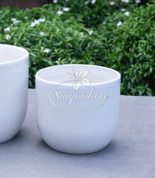 Chậu Lê Tăm Trắng 14