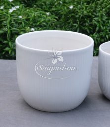 chau-le-tam-trang-18cm