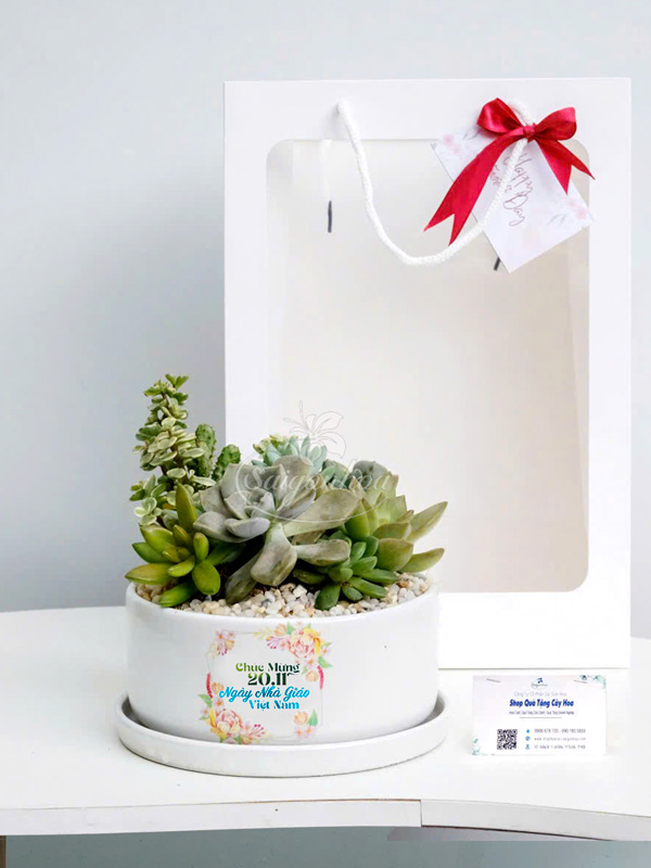 Chậu Sứ Ang Trụ Họa Tiết 16 7 chau sen da qua tang 2