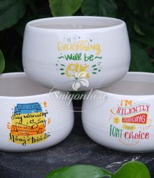 chau-su-hat-de-hoa-tiet-19