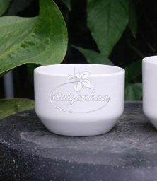 chau-su-kim-cuong-trang-12x8cm