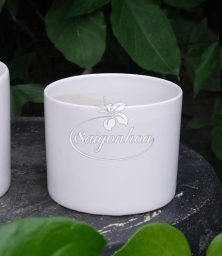 Chậu sứ trụ thấp trắng 13