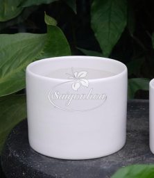 Chậu sứ trụ thấp trắng 16