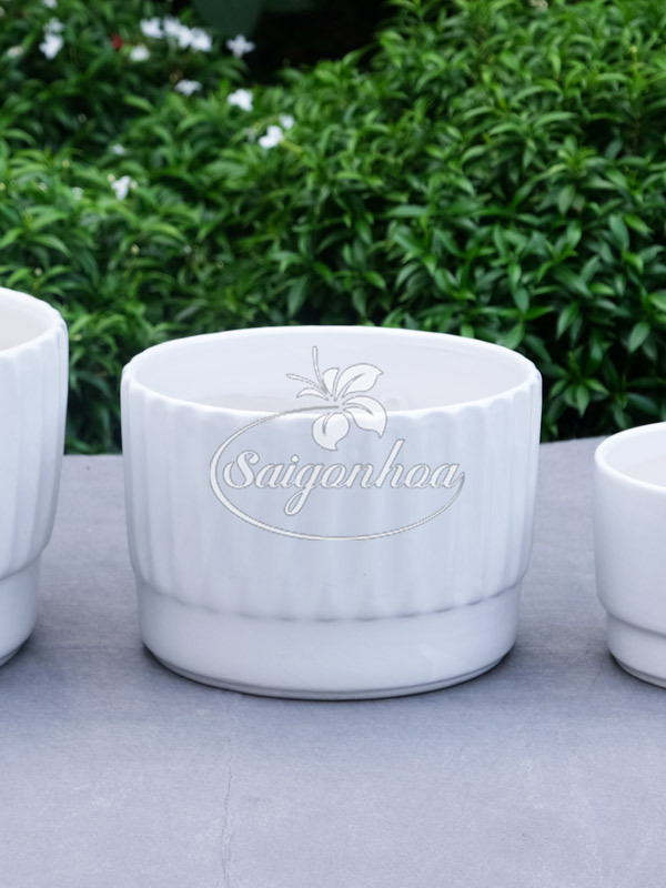 chau-su-vanh-khuyen-trang-11x16cm