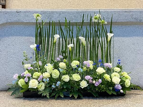 cong-dung-cay-hoa-thien-nga-mat-ngoc-3