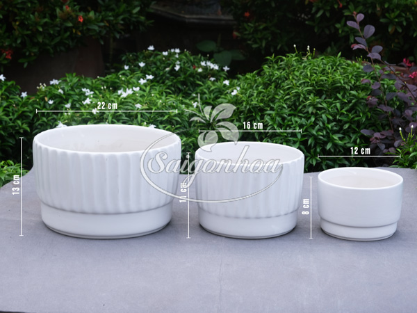 kich-thuoc-chau-su-vanh-khuyen-trang