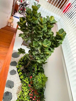 Tiểu Cảnh Giếng Trời Chân Cầu Thang