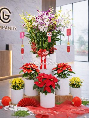 Combo-Hoa-Tết-Check-in-3