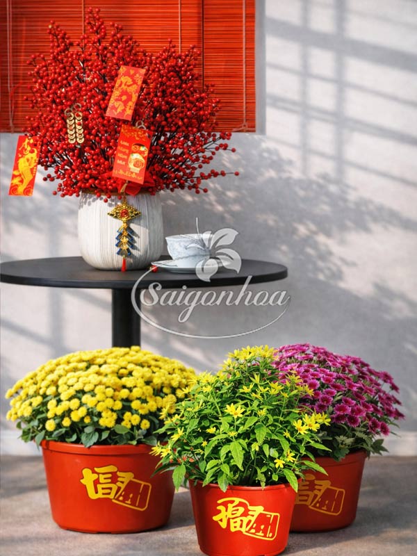 Combo-Hoa-Tết-Góc-Xuân-Sum-Vầy-2