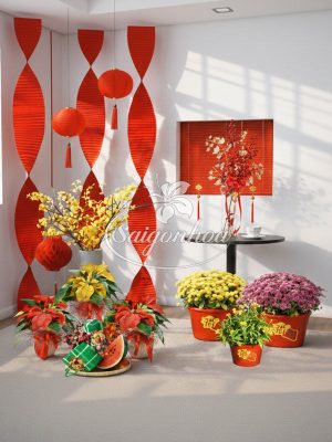 Combo-Hoa-Tết-Góc-Xuân-Sum-Vầy