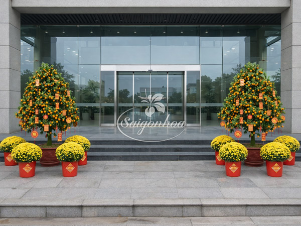 Combo-Hoa-Tết-Tắc-Đại-Lộc-1