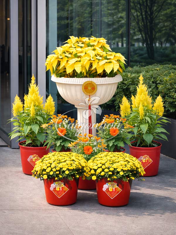 Combo-Hoa-Tết-Trạng-Nguyên-Hồng-Phát-2