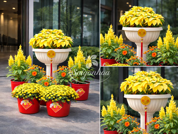 Combo-Hoa-Tết-Trạng-Nguyên-Hồng-Phát-3