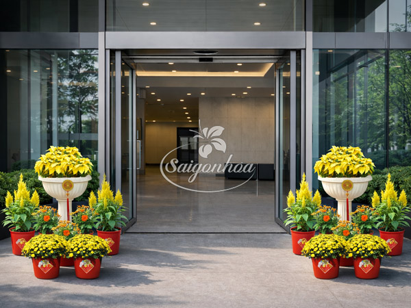 Combo-Hoa-Tết-Trạng-Nguyên-Hồng-Phát-4