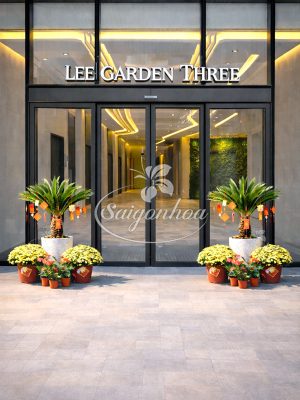 Combo Hoa Tết Vạn Tuế Trường Tồn