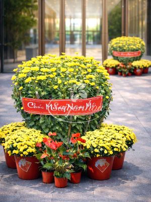 Combo Hoa Tết Cúc Đại Phú Quý