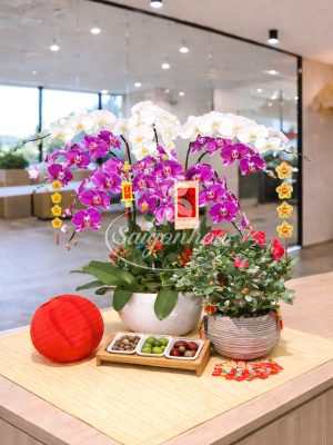 Combo Tân Xuân Cát Khánh