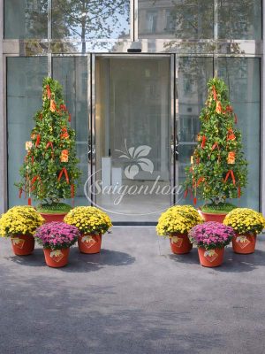 Combo Tắc Tết Trang Trí Cổng Văn Phòng