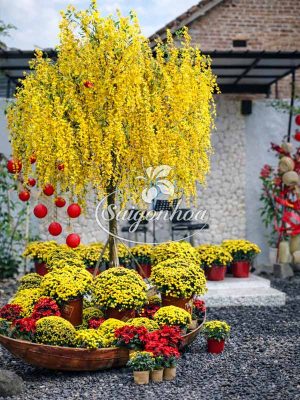 Combo Thuyền Hoa Đón Lộc